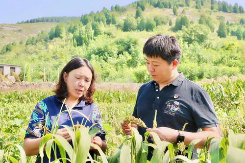 王浩 鋪就鄉村振興路，行動書寫使命擔當