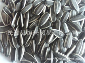 民勤縣東湖易發農副產品購銷站 優質食品銷售新選擇